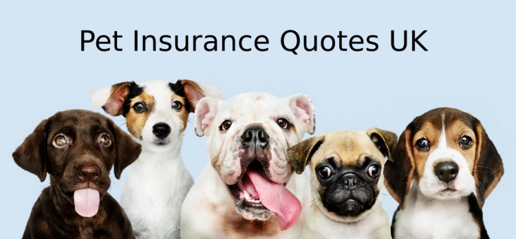 Pet Insurance Price data by different providers, using varied combinations of pet variables, regions from Price Analytica in united-kingdom-europe