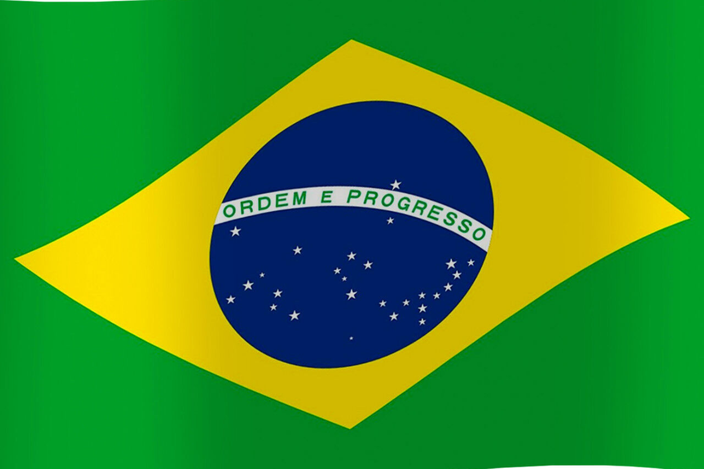 Brazilian Companies and Professionals Dataset